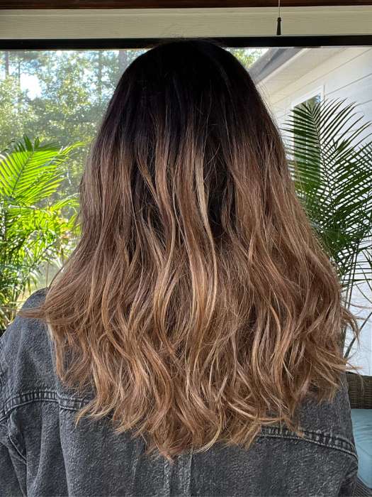 Balayage Beauty | Synthetic Lace Front Wig (Mono Top) - Image 9